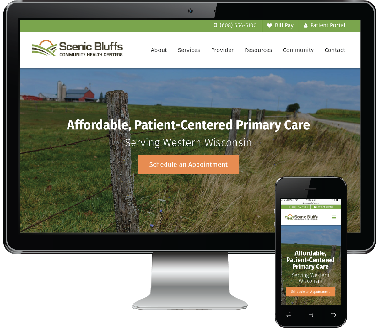 website picture